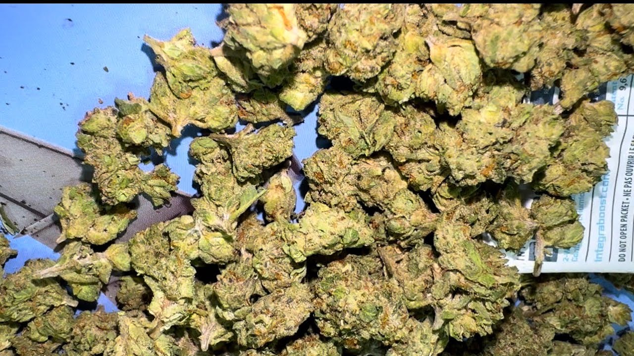 JK Distro CA-7 Strain Review 🔥 $32 an O THCA&mdash;Budget Banger or Mid Pack?