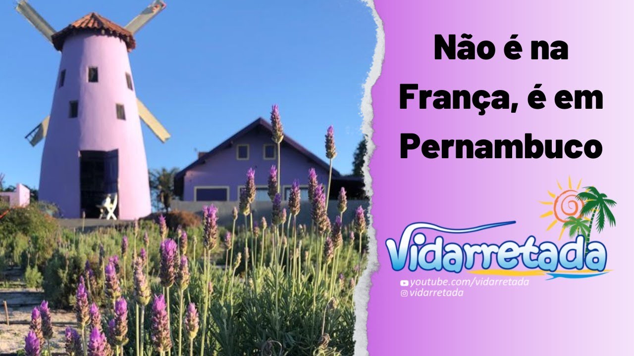 CAMPO DE LAVANDA NO NORDESTE