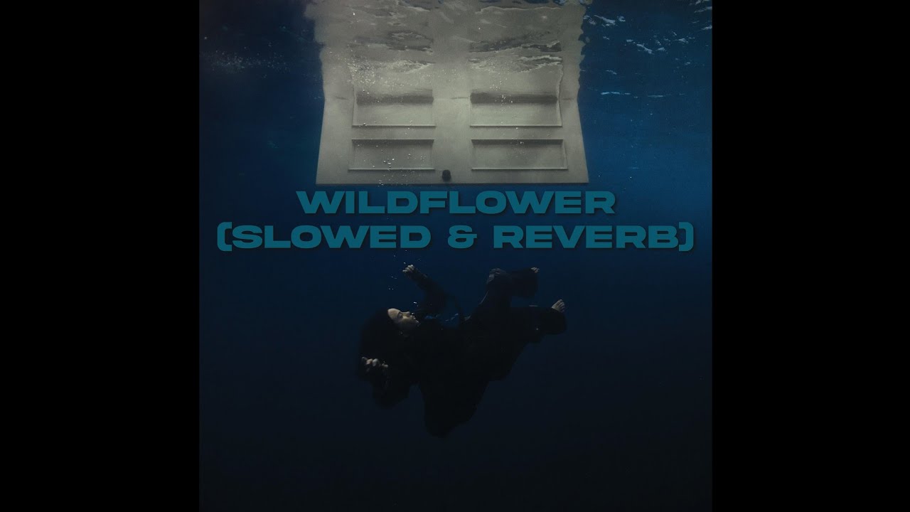 Billie Eilish - WILDFLOWER (SLOWED & REVERB)