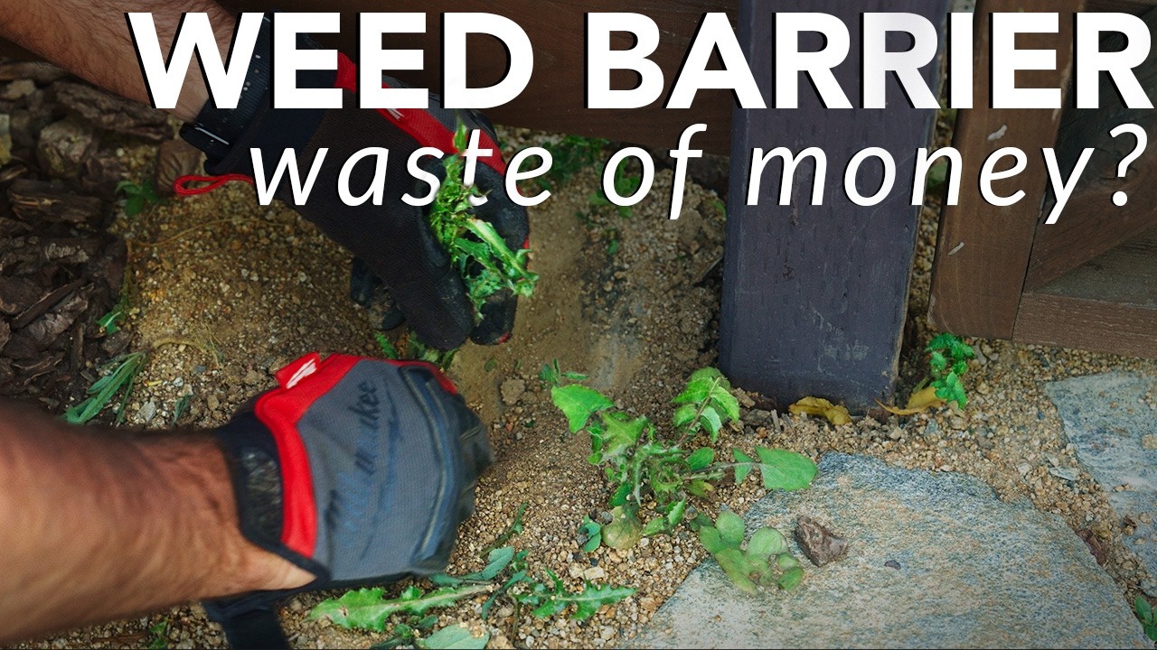 Does Weed Barrier Landscape Fabric Really Work? Watch before buying!