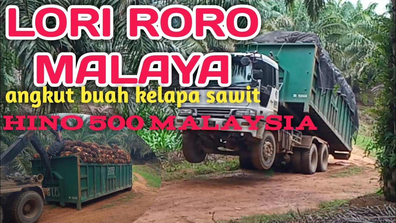 lori angkut buah kelapa sawit // Hino 500 Malaysia Roro bin