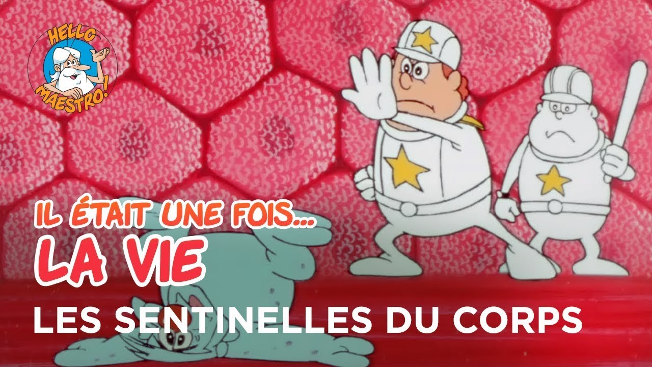 Il était une fois… la Vie 🌱- Les sentinelles du corps 🧘