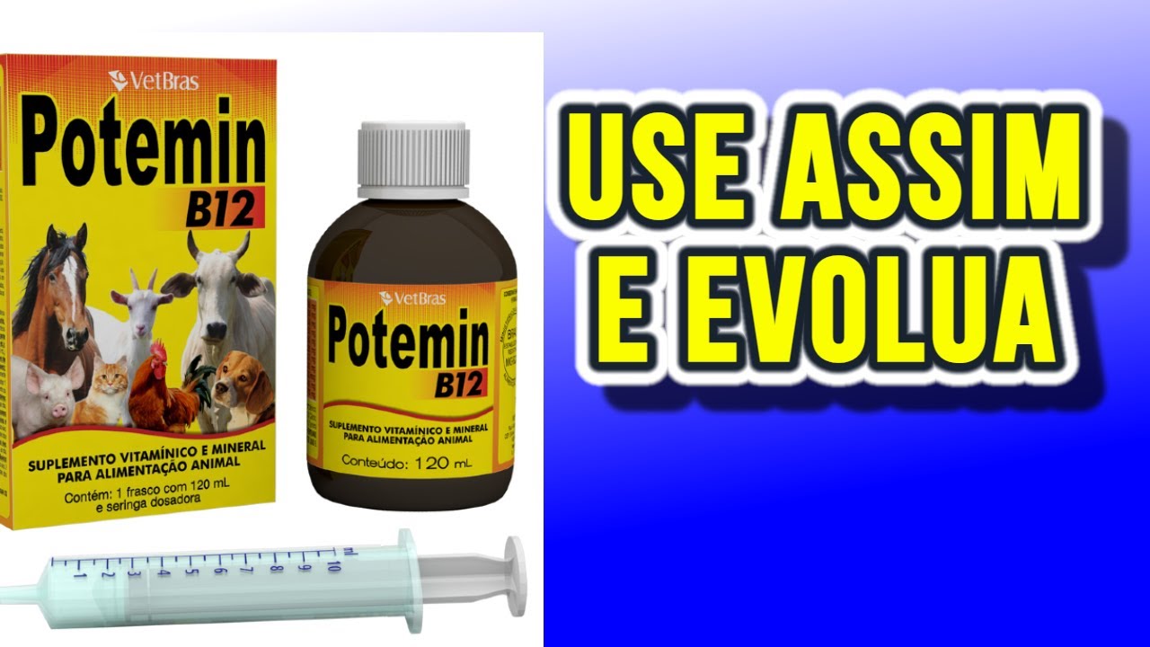 COMO USAR POTEMIN B12 CORRETAMENTE NA SUA CRIAÇÃO