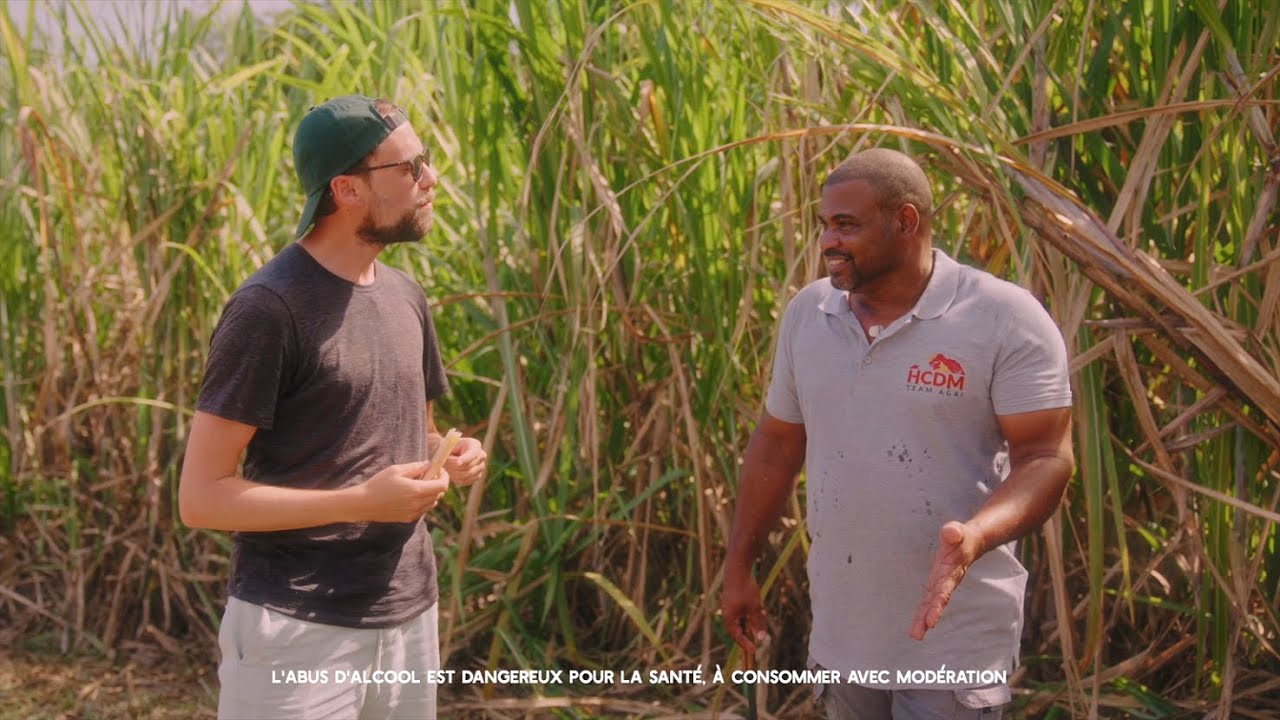Rhum J.M : cultiver et prot&eacute;ger notre terre nourrici&egrave;re ! (&eacute;pisode 2)