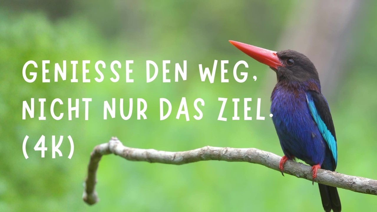 Lass die Gedanken ziehen ☁️ Zitate für innere Ruhe & Achtsamkeit (4K)