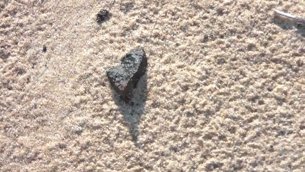 HDV    Meteorite strewn field made by Swift Tuttle comet of perseid showers OORT Cloud rocks