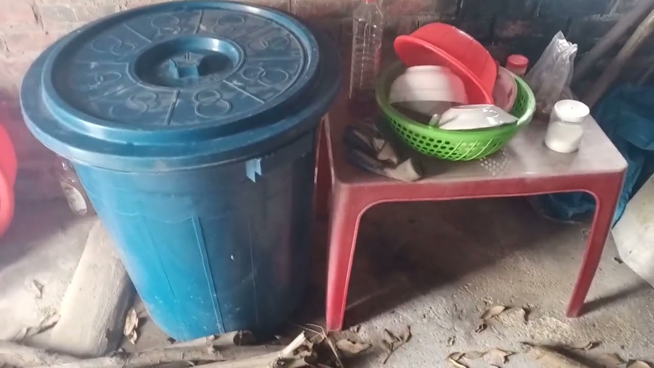 Son đi về quê ăn Tết cảnh nông thôn 