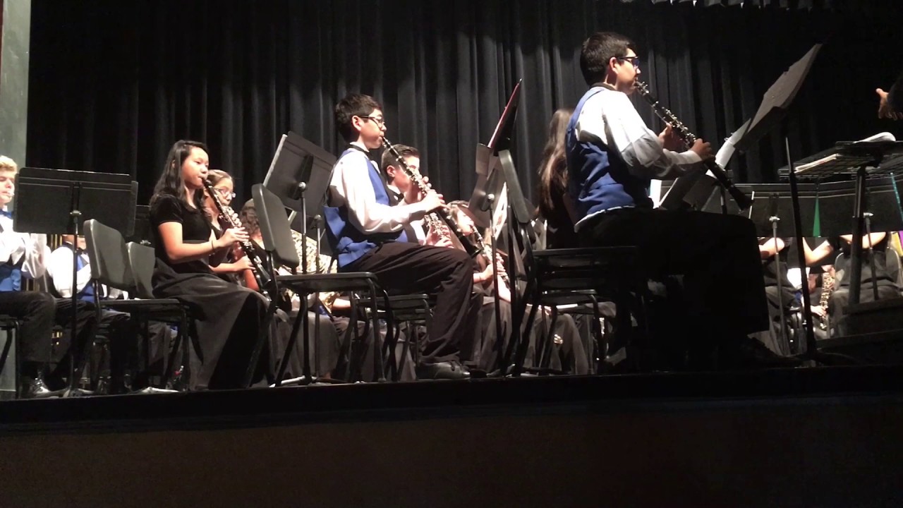 PDCMS IN PDHS