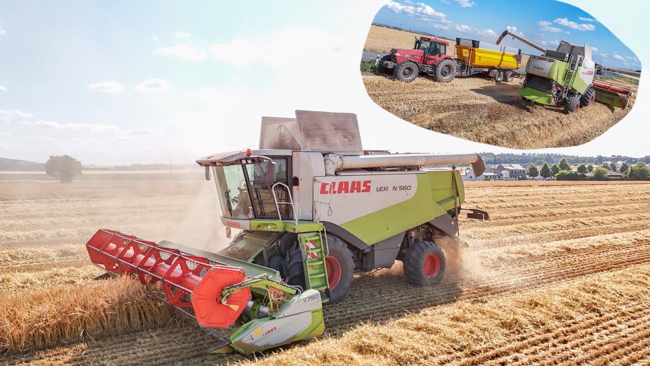 První Sklizeň Ozimého ječmene 2025 | Claas Lexion 560 |Žně 2025
