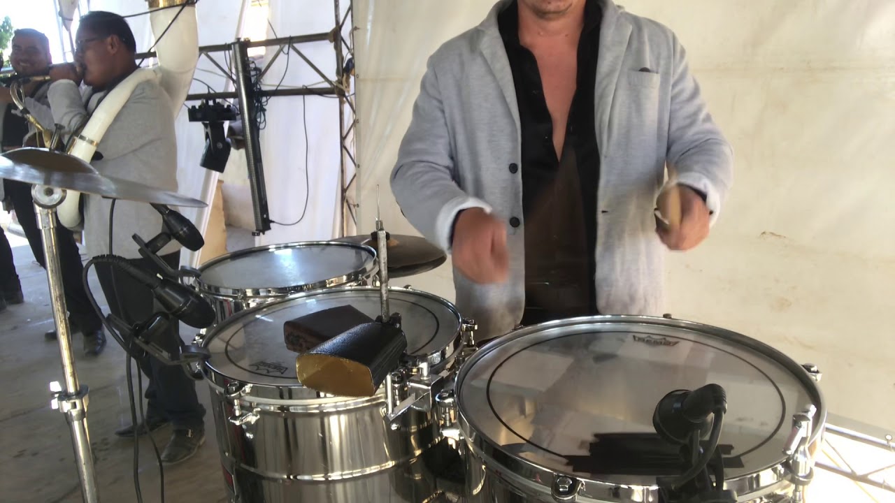 Rango el gato y yo banda amigos en vivo roatina 2020