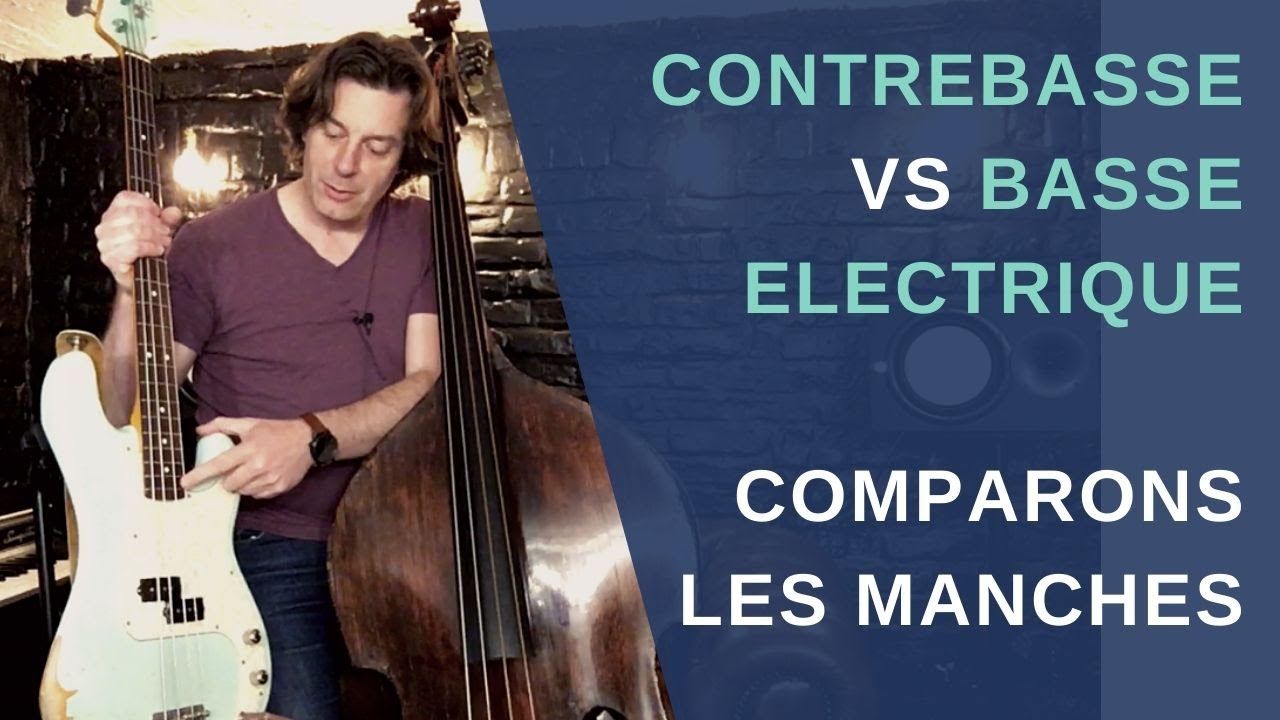 Contrebasse vs Basse Electrique Comparons les manches