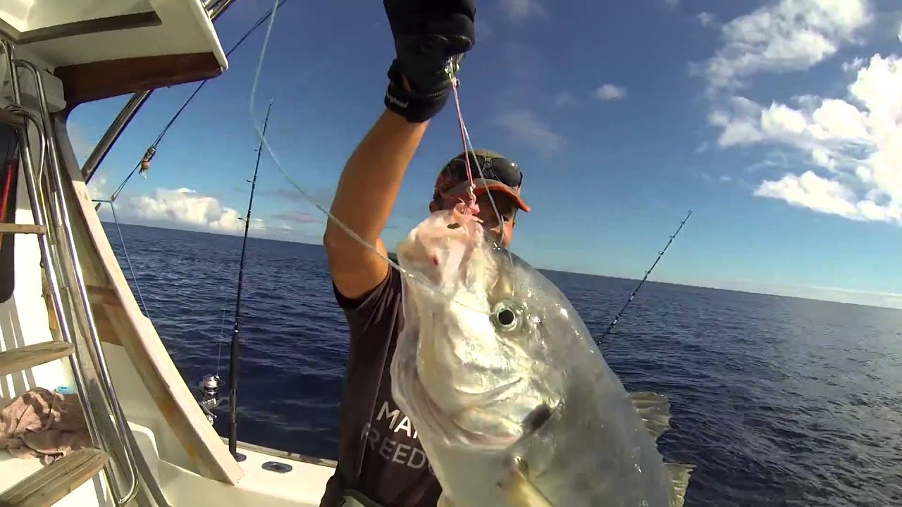 maxmatsuuraのニュージーランド釣り紀行