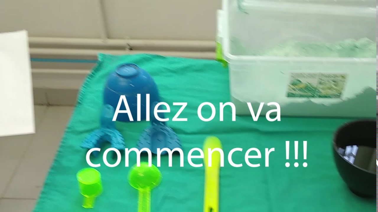 La prise d'empreinte à l'alginate