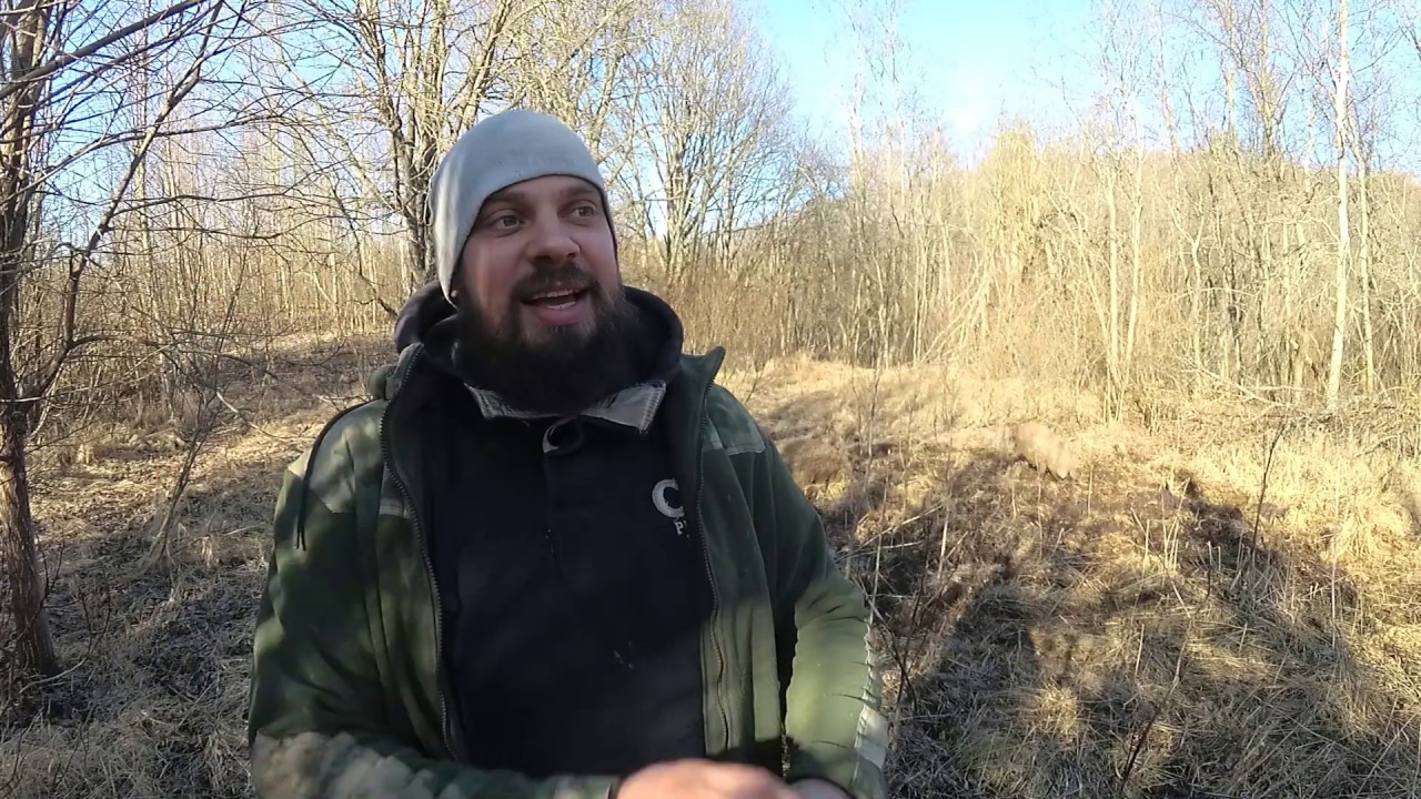 Эти СВИНЬИ меня разорили?