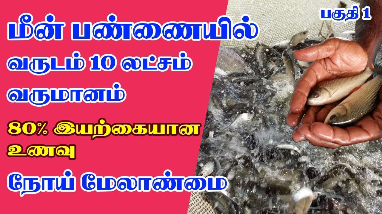 Fish Farming | 80% விலையில்லா இயற்கையான உணவு |நோய் மேலாண்மை | மீன் பண்ணை #OorKuruvi #ஊர்குருவி