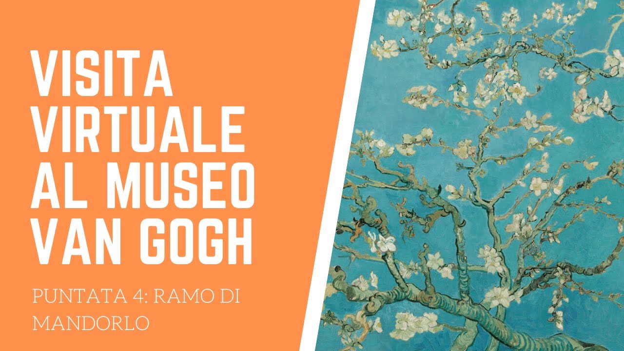 Ramo di mandorlo di Vincent Van Gogh - visita guidata virtuale