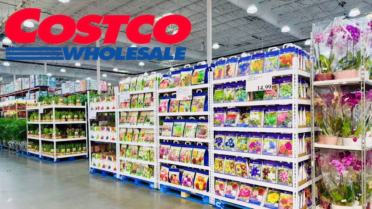 Costco Spring Garden Hydrangea, Tulip, Peony, Dahlia, Lily, Phlox, Gladiolus, Hollyhock, Hosta