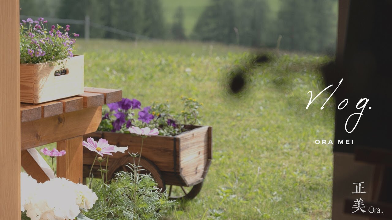 【Life in the Alps】Balcony Gardening | Getting ready for this summer 🌱