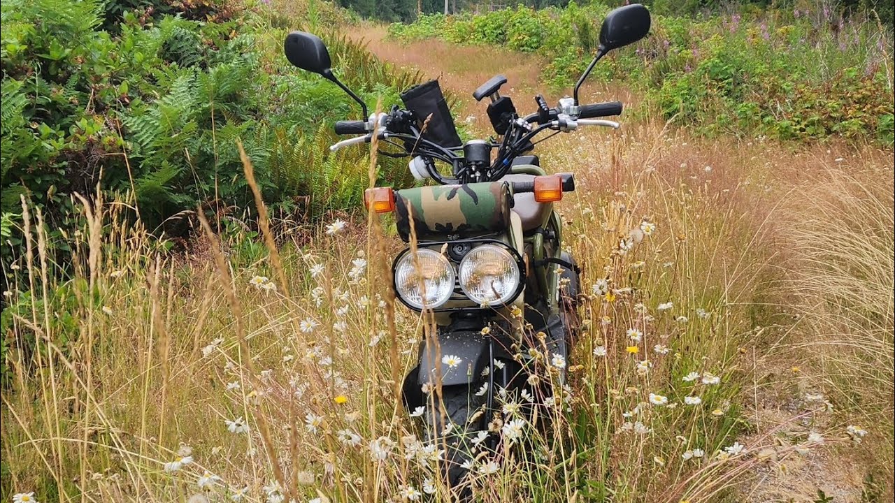 50-мильная поездка на Honda Ruckus по лесу
