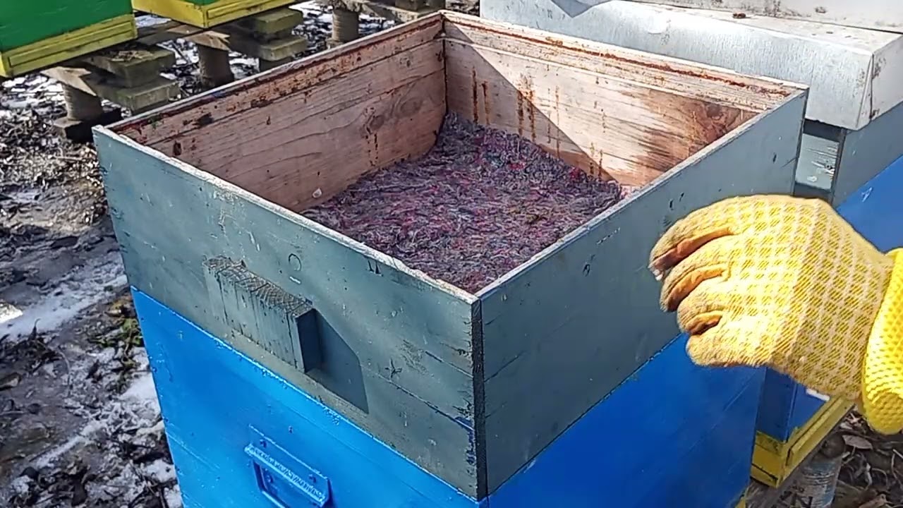 Albine sufocate salvate la limita , dar nu chiar 
