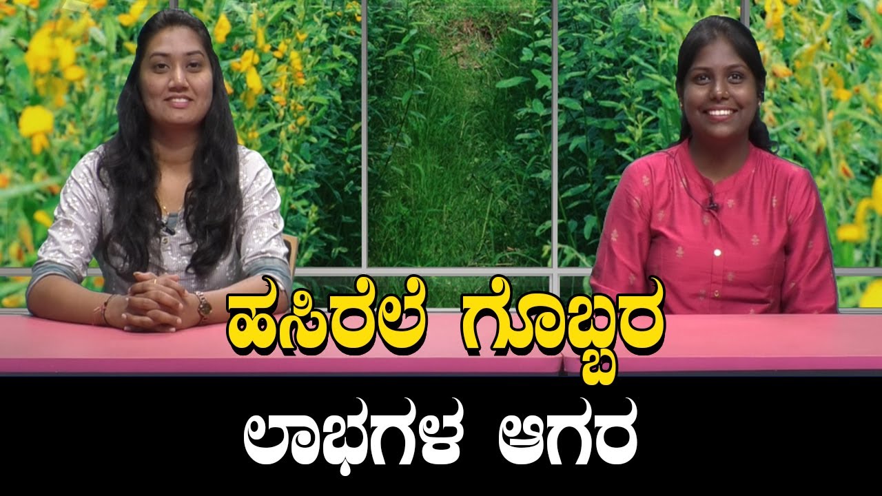 ಹಸಿರೆಲೆ ಗೊಬ್ಬರ ಎಂದರೇನು ಗೊತ್ತಾ? ಅದನ್ನು ತಯಾರಿಸುವುದು ಹೇಗೆ? ಅದರಿಂದಾಗುವ ಲಾಭಗಳ ಬಗ್ಗೆ ಸಮಗ್ರ ವಿವರ
