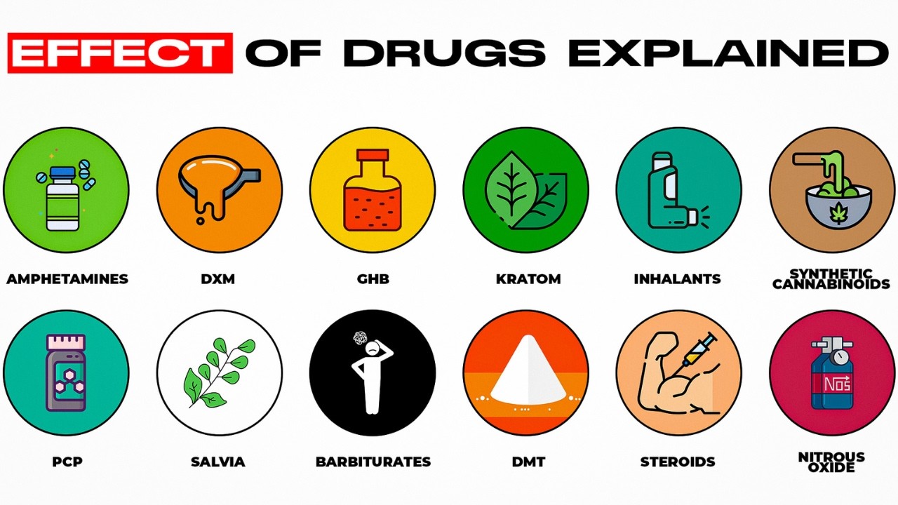 Every Major Drug and What It Actually Does Explained