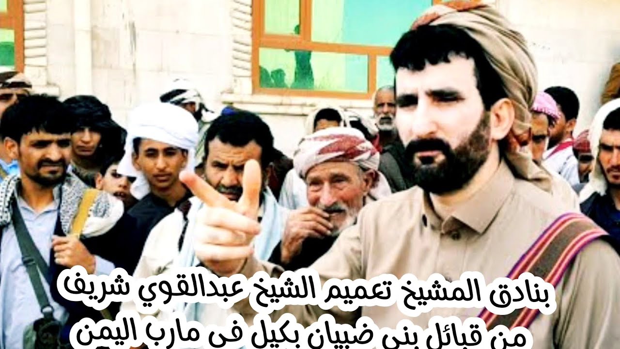 بنادق المشيخ تعميم الشيخ عبدالقوي شريف من قبائل بني ضبيان بكيل في مارب