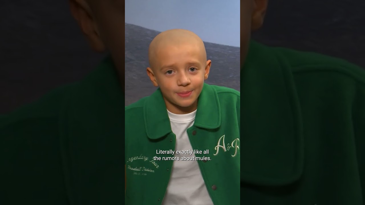 Dexter Sol Ansell and Peter Claffey of #AKOTSK have some incredible four-legged co-stars #Shorts