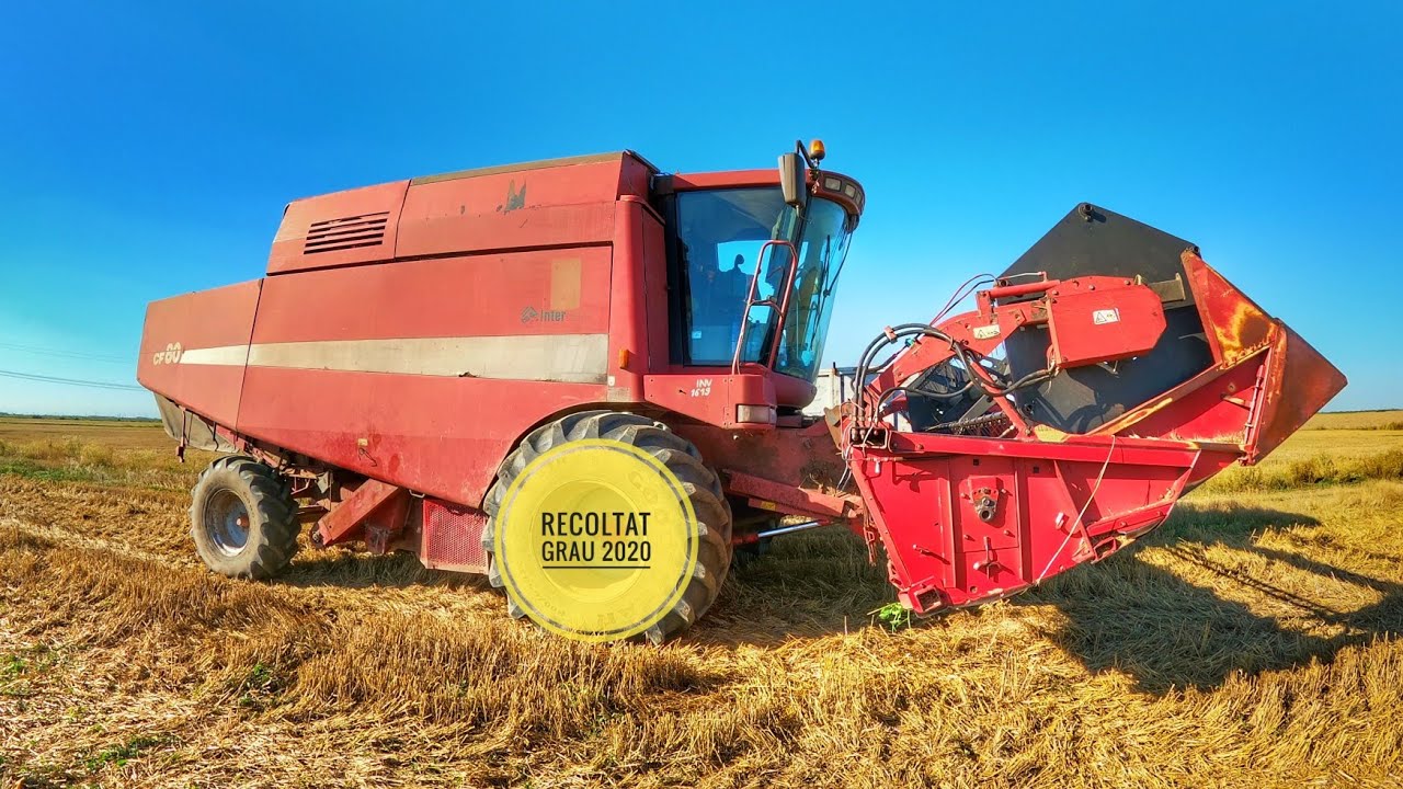 Case CF80 - recoltat grau, Giurgiu, harvesting wheat.