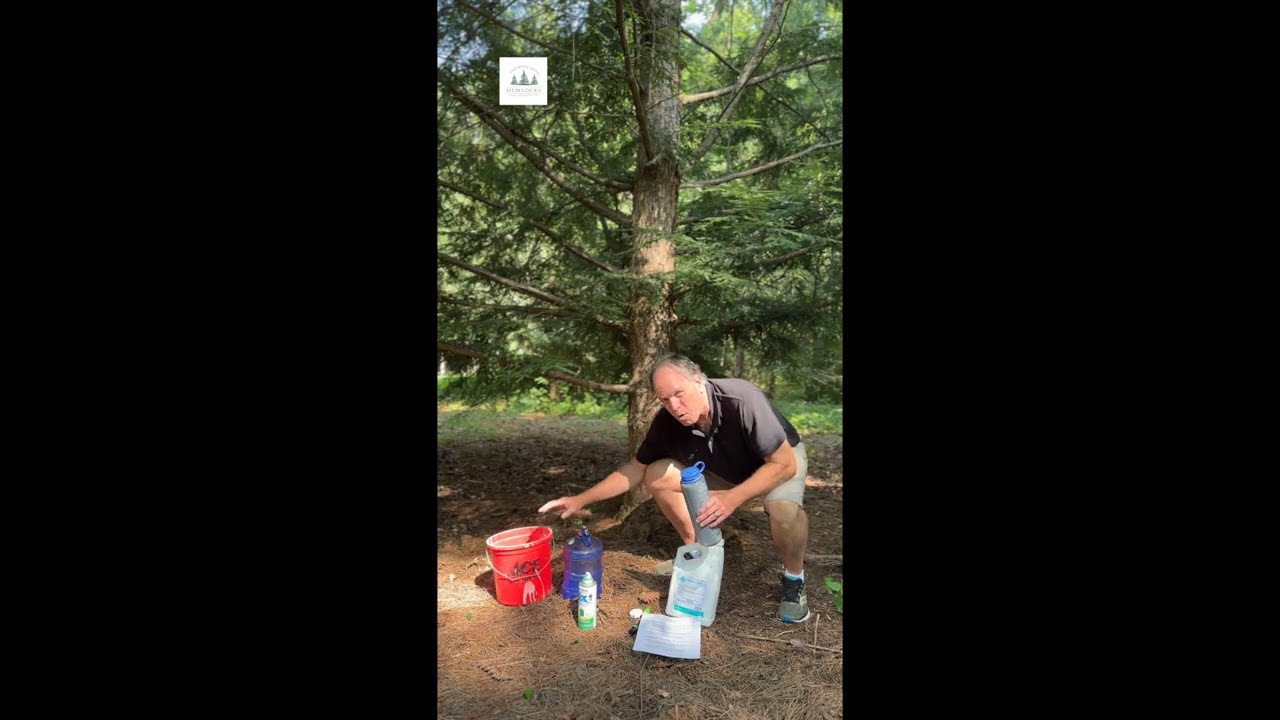 How to Treat Hemlock Trees for Hemlock Woolly Adelgid (HWA) | The Soil Drench Method