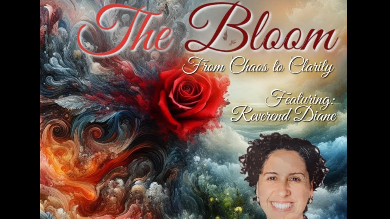 The Bloom 1:6