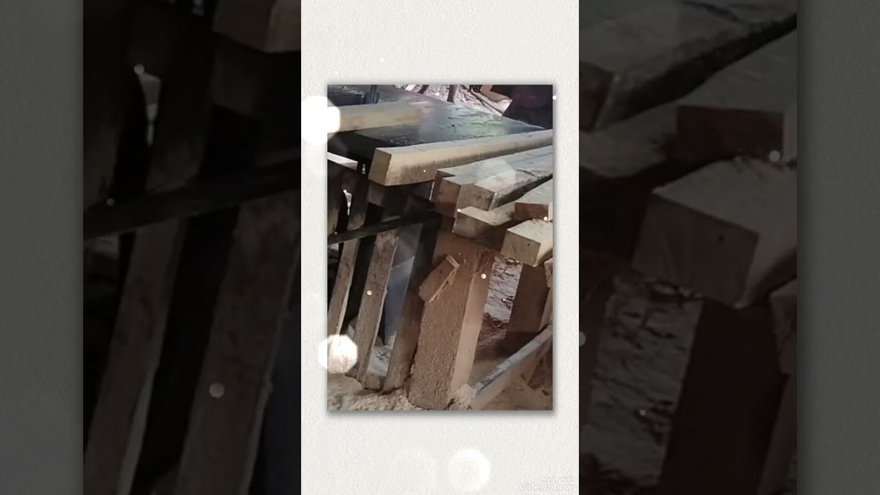 saw mill worker life#sawmill #sawmillbusiness #craftsman #lumber #wood #woodworker #rahulgandhi