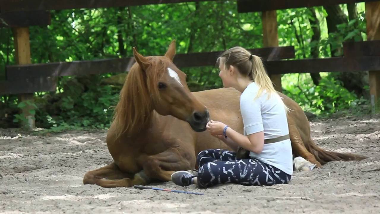 mit Pferden sein // Jugendkurs 2016 // Chelsea und Kim