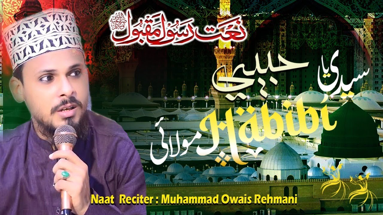 Syedi Ya Habibi Molayi ﷺ | Owais Rehmani | Best Spiritual Naat | Heart Touching Kalam