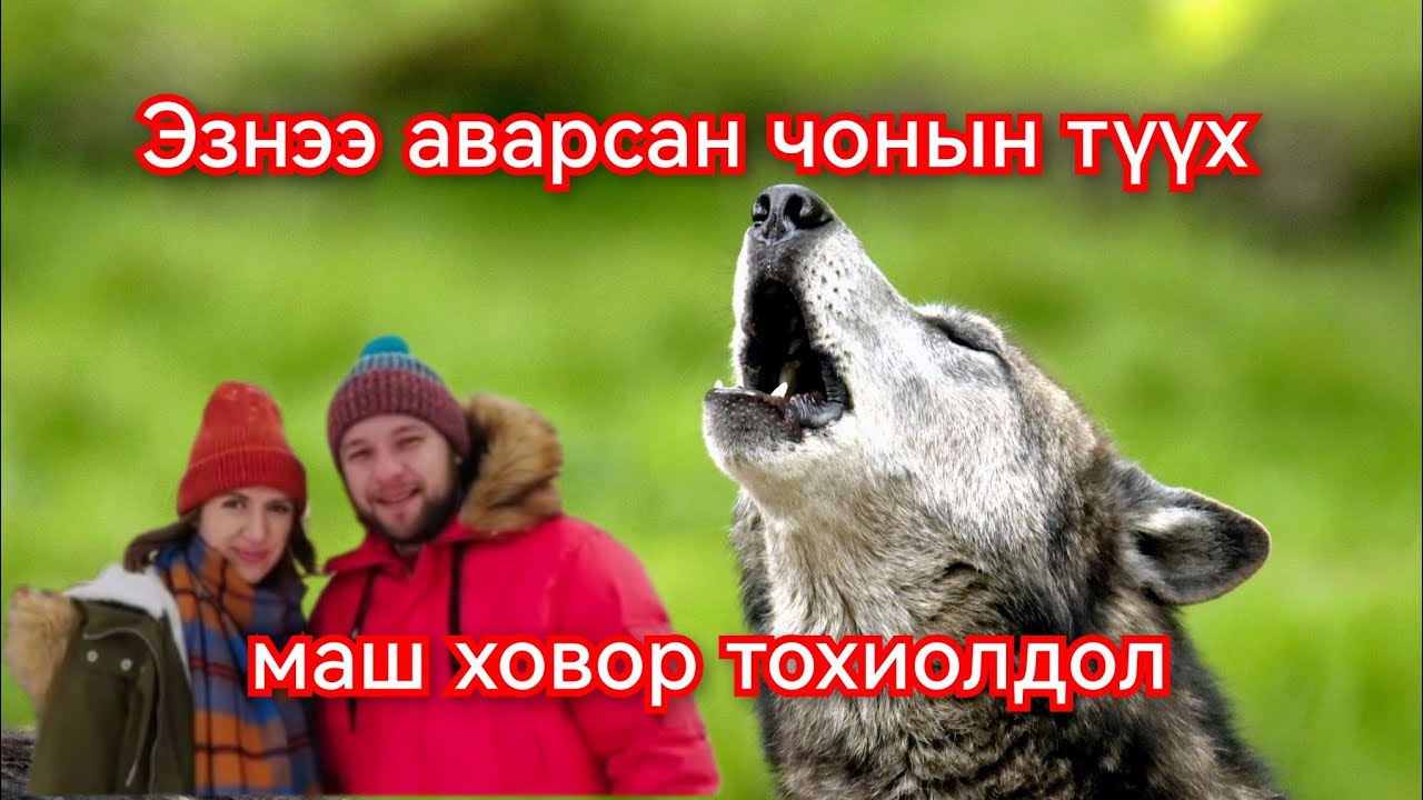 Эзнээ аварсан чонын түүх. Гоё Түүхүүд Goy tuuhuud mongol heleer kino duu barimtat kino 2024