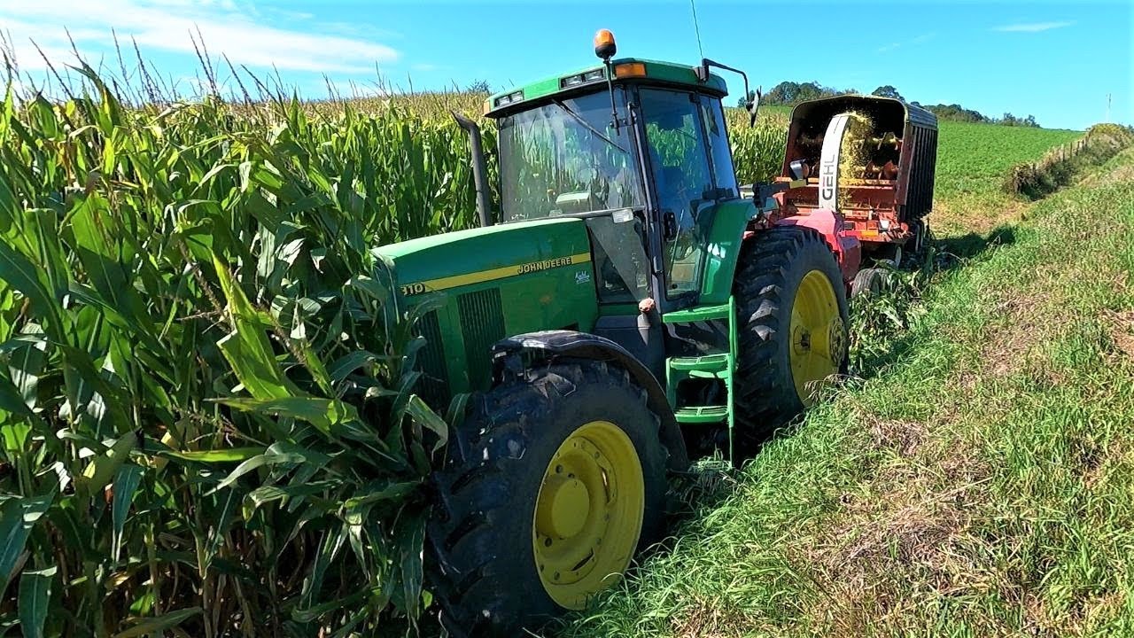 Running Over Our Crop! l First Day of Chopping Corn Silage on a Small Farm l Harvest 2022
