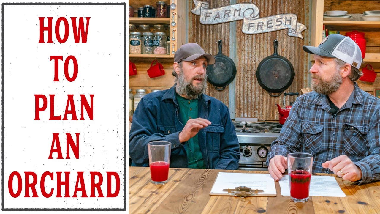 PODCAST: PLANNING AN ORCHARD FOR YOUR HOMESTEAD - PANTRY CHAT #44