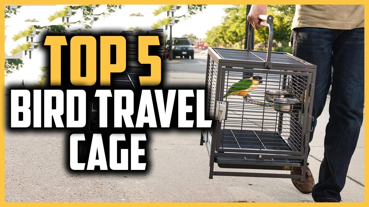 ✅ Top 5 Best Bird Travel Cage of 2024