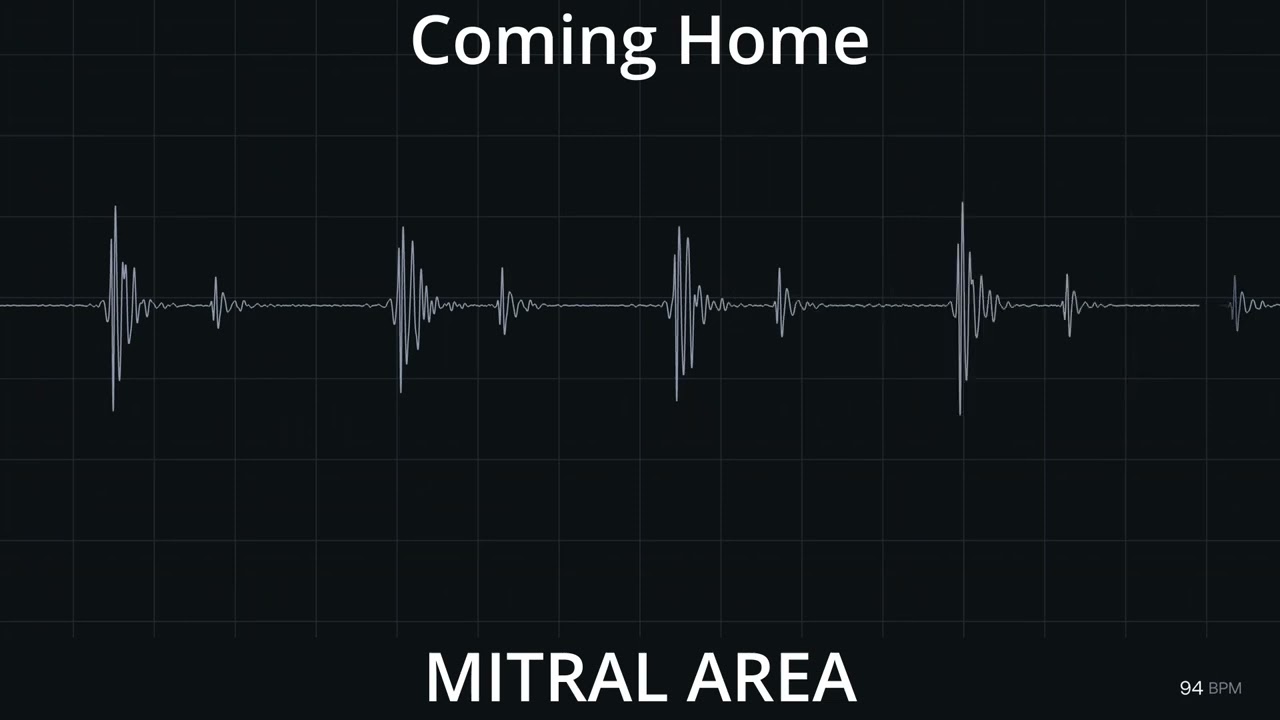 Heartbeat Comparison Morning vs After Work 🌄💼❤️🩺 [Male Heartbeat]