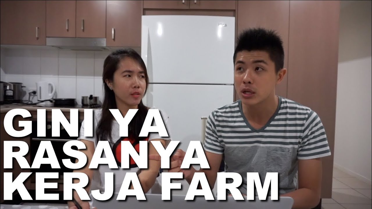 PENGALAMAN PERTAMA KERJA FARM DI AUSTRALIA