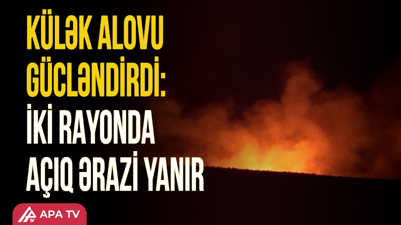 Beyləqan və Yevlaxda genişmiqyaslı yanğın: FHN qüvvələri səfərbər olundu | APA TV