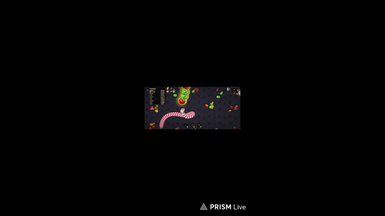 MY TOM #mytom #cat #funny