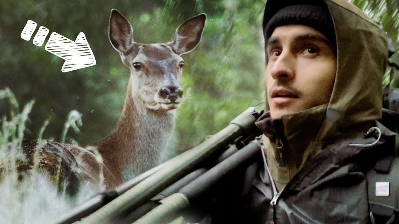 Photographie Animalière dans le Massif du Vercors