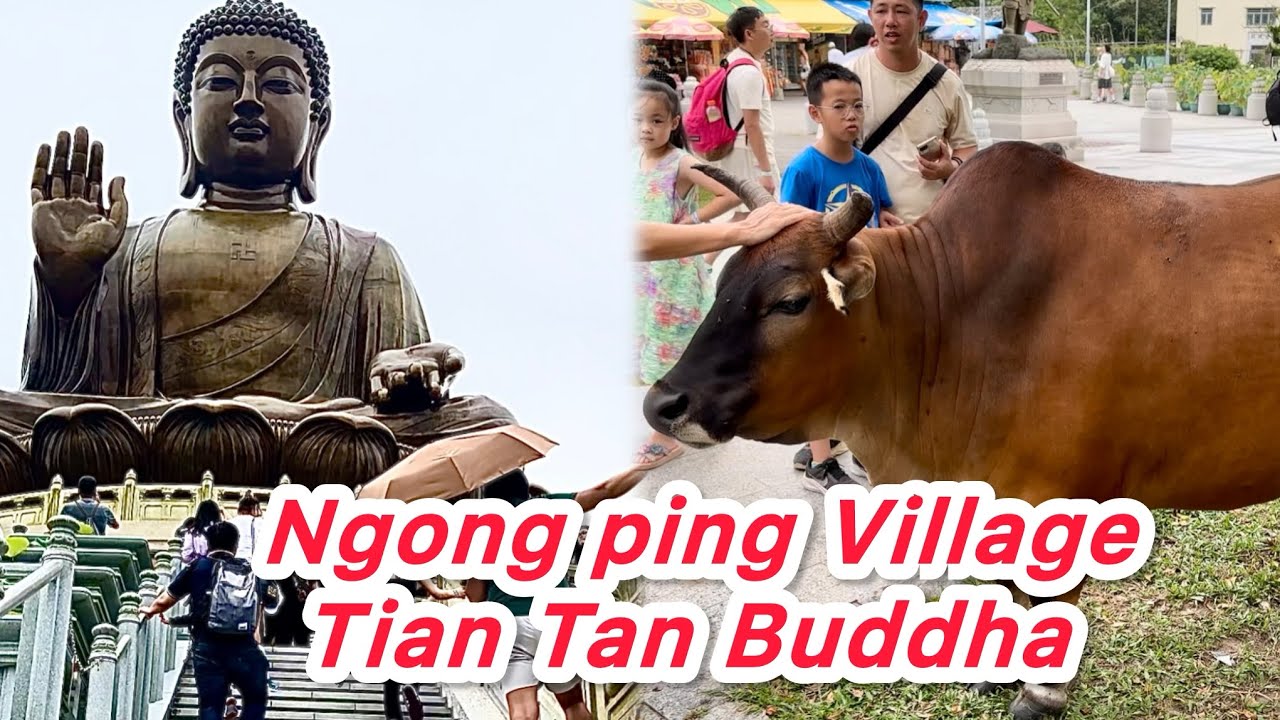 WALKING TOUR HONG KONG 🇭🇰 NGONG PING VILLAGE | TIAN TAN BUDDHA | 360 CABLE CAR