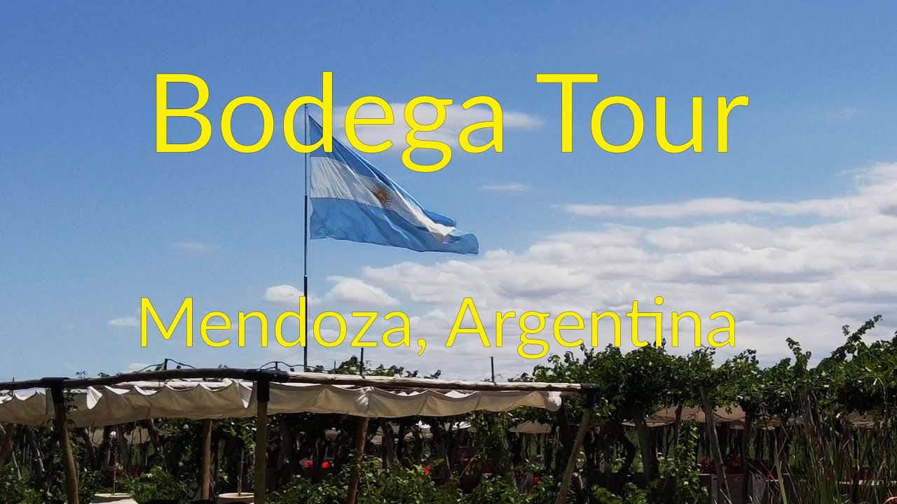 Mendoza Wine Tour (Argentina)