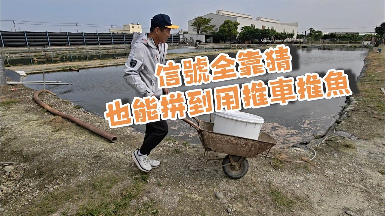 坐在逆光的位置上，信號全靠猜，還能夠釣這麼多，這賊仔目卡系厲害！