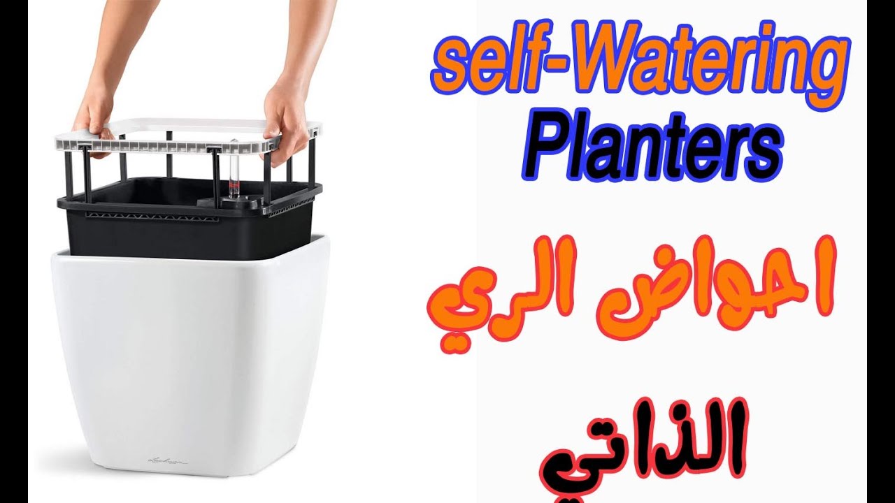 احواض الري الذاتي || لا تحتاج لري التربة