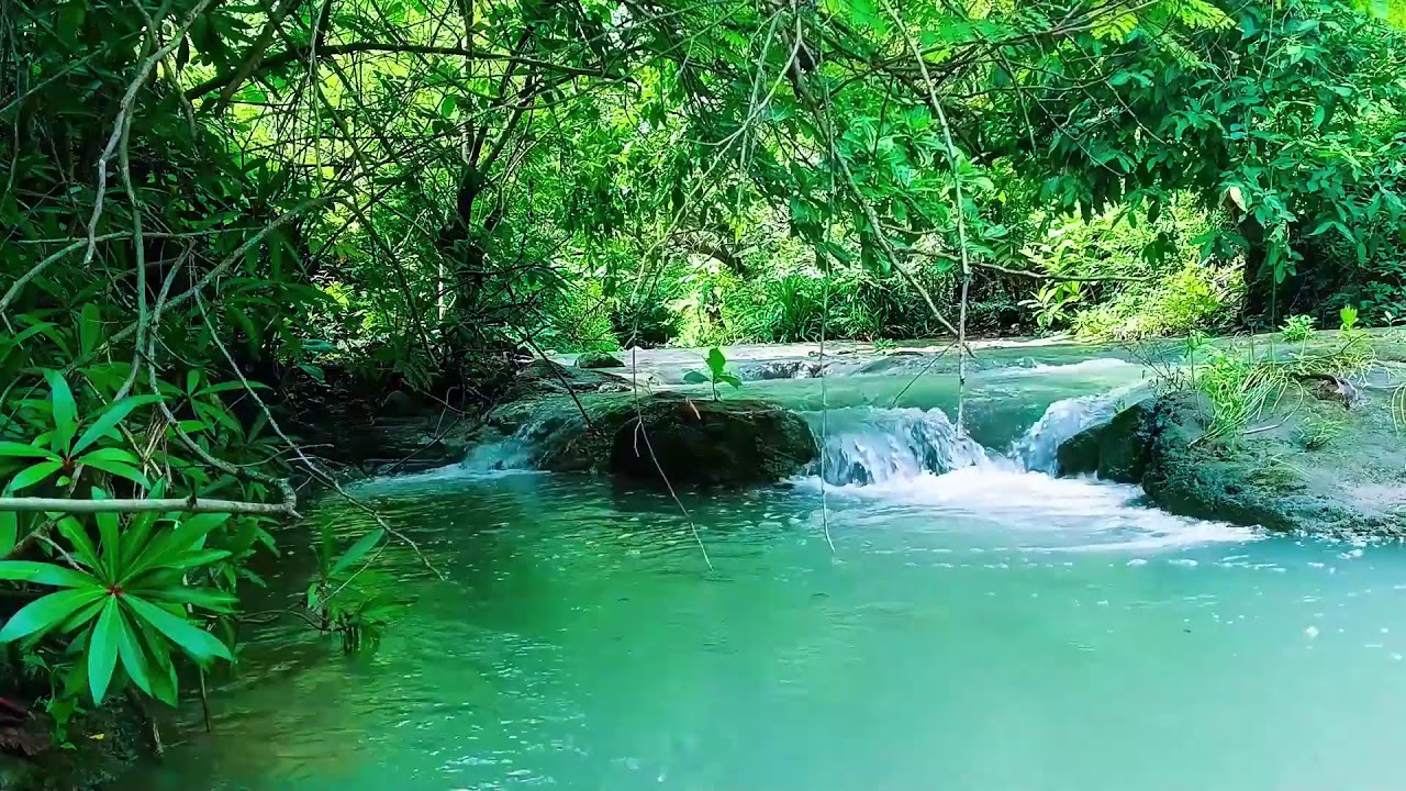 ASMR Waterfall Ambience 🌿 Relaxing Nature Sounds for Yoga, Meditation & Deep Sleep