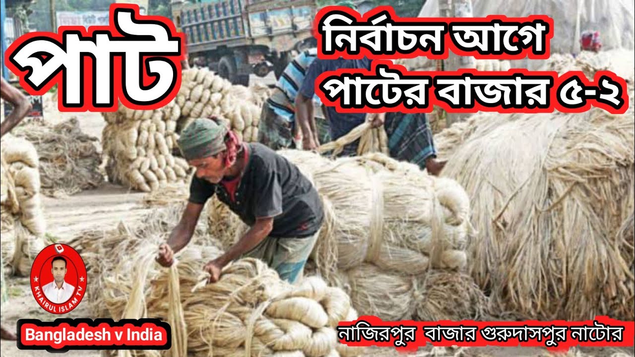 আজকের পাটের দাম ০৫-০২-২৬ | নাজিরপুর বাজার | গুরুদাসপুর নাটোর | পাটের বিশাল আপডেট খবর