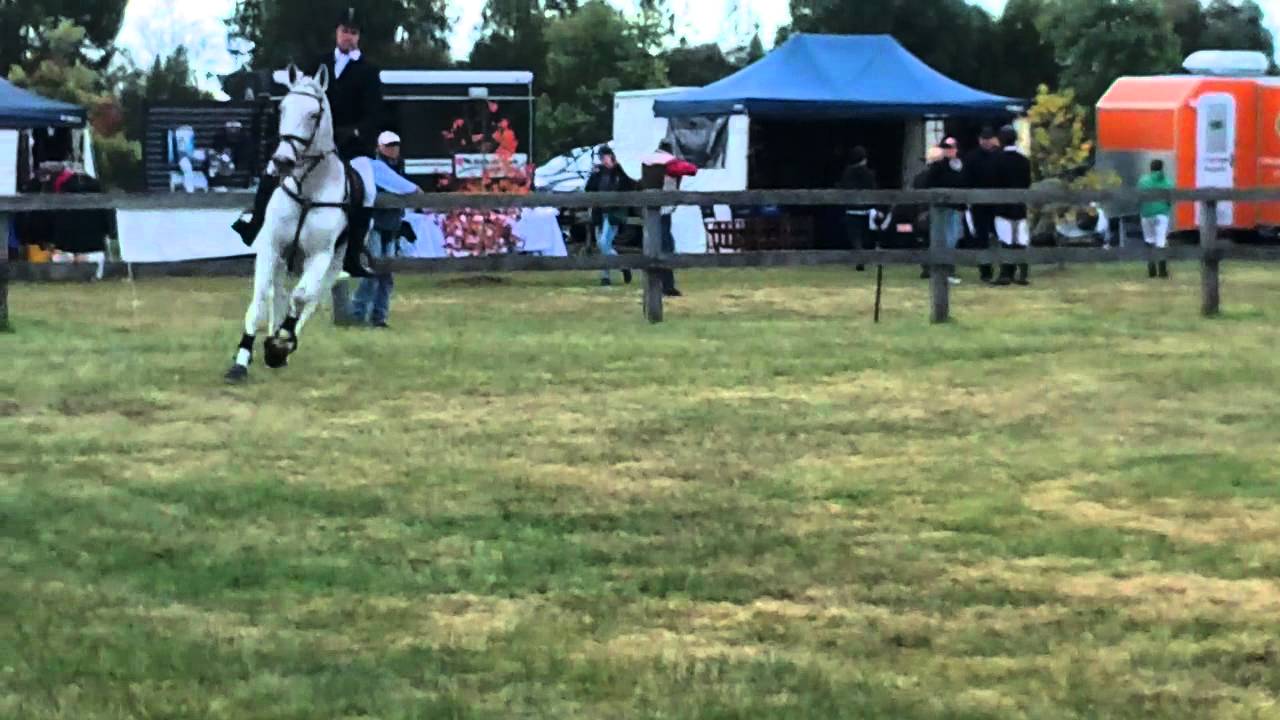 an-eventful-life.com.au Vaughan Eillis at Equestriad in the Horse and Rider Shop CIC1*.MOV